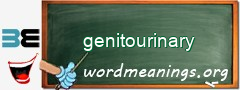 WordMeaning blackboard for genitourinary